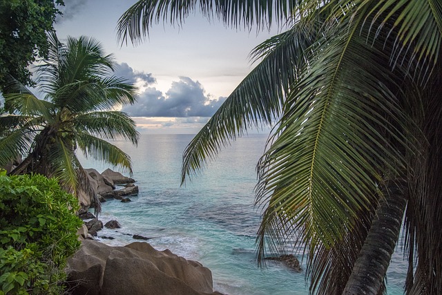 A beautiful image of a beach